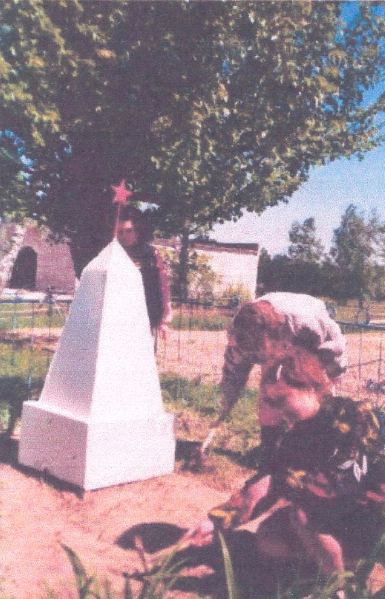 3 3